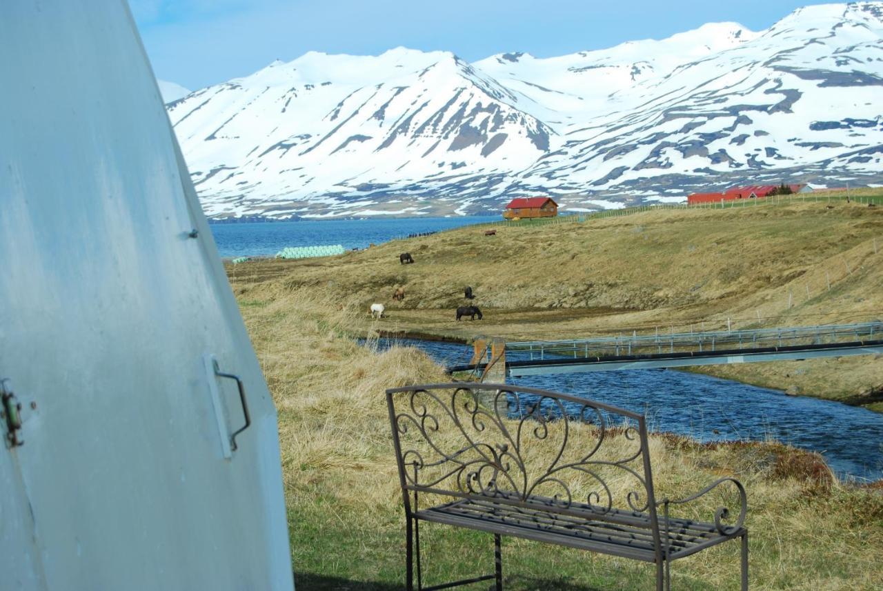 Sky Sighting Igluhus - Stay'In Arbakki Arskogssandur Екстериор снимка