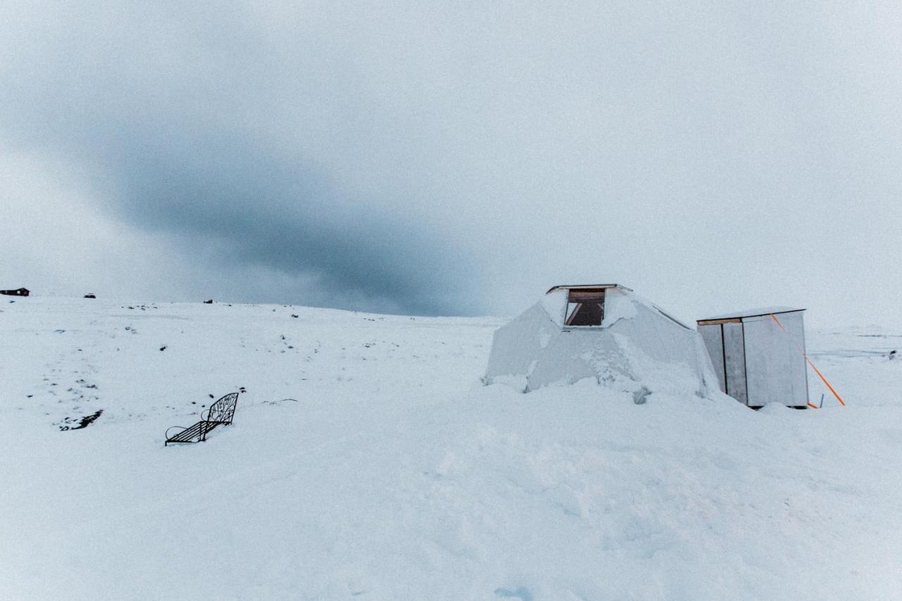 Sky Sighting Igluhus - Stay'In Arbakki Arskogssandur Екстериор снимка